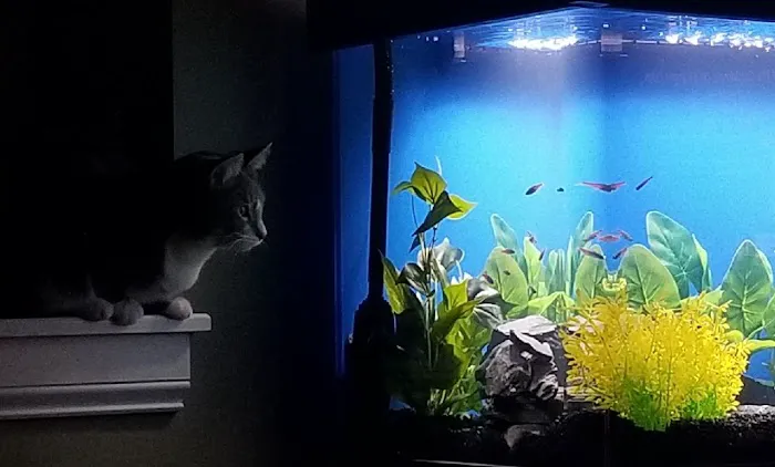 TRUVU Aquariums Picture 3