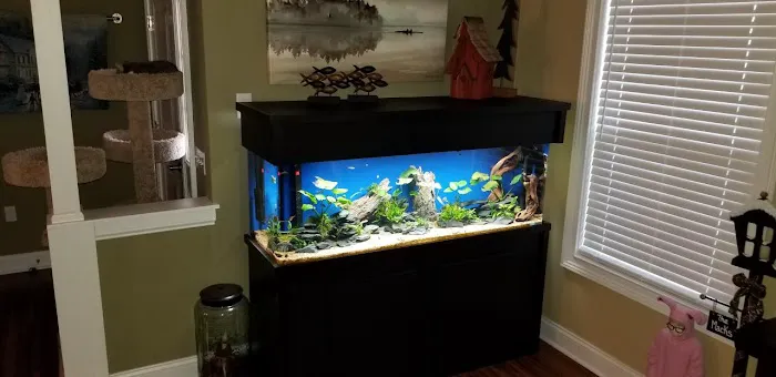 TRUVU Aquariums Picture 2