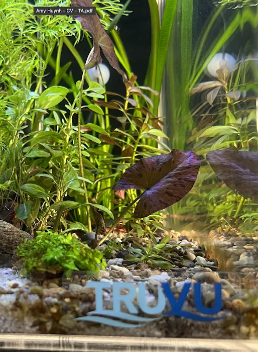 TRUVU Aquariums Picture 9