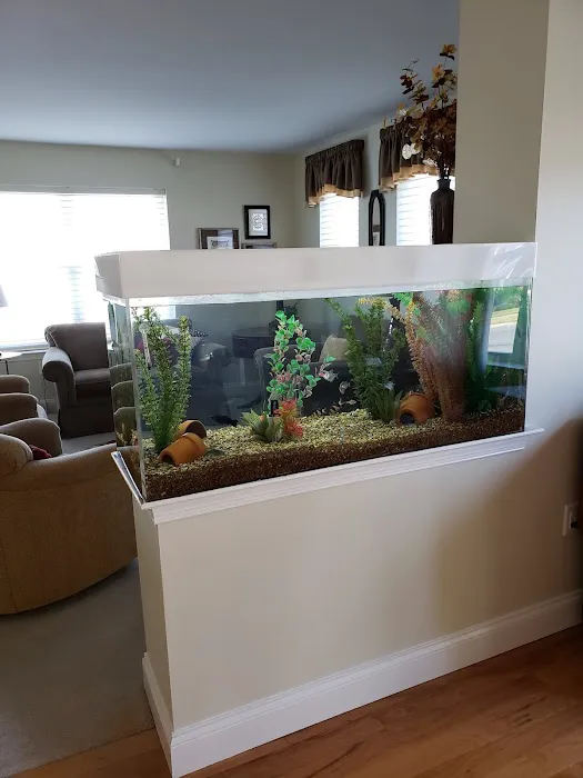 TRUVU Aquariums Picture 10