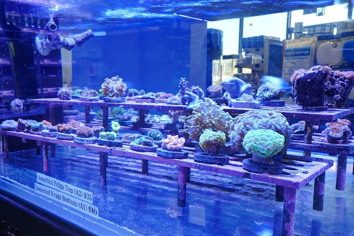 Artistic Aquariums, Inc Picture 1