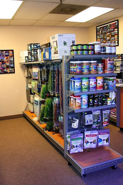 Artistic Aquariums, Inc Picture 6
