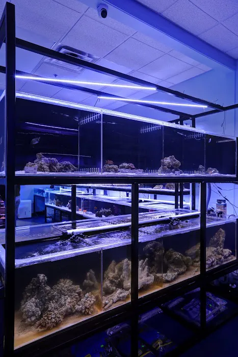 Artistic Aquariums, Inc Picture 5