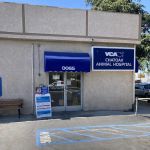 VCA Chatoak Animal Hospital