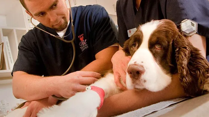 VCA Chatoak Animal Hospital Picture 5