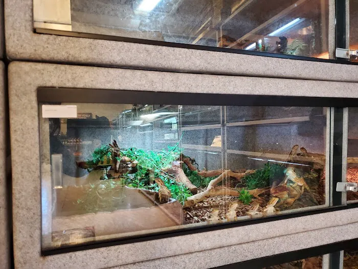 LLLReptile & Supply Chandler Picture 4
