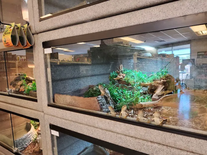 LLLReptile & Supply Chandler Picture 1