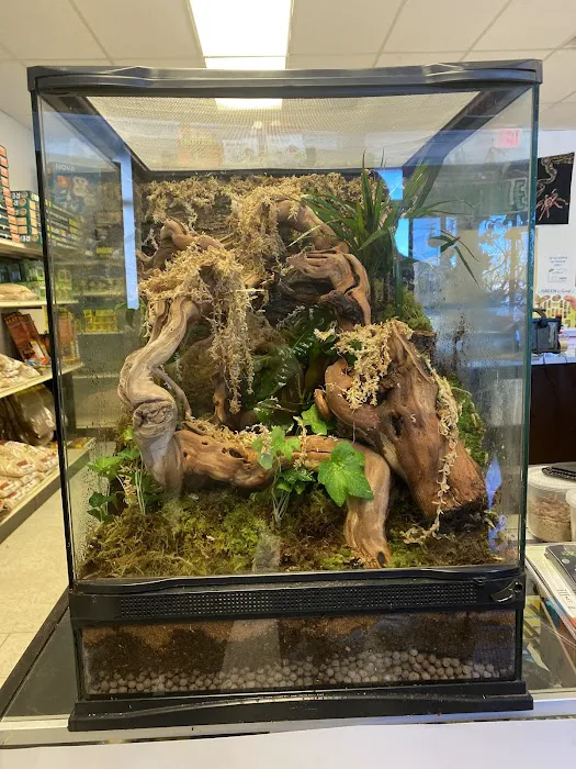 LLLReptile & Supply Chandler Picture 6