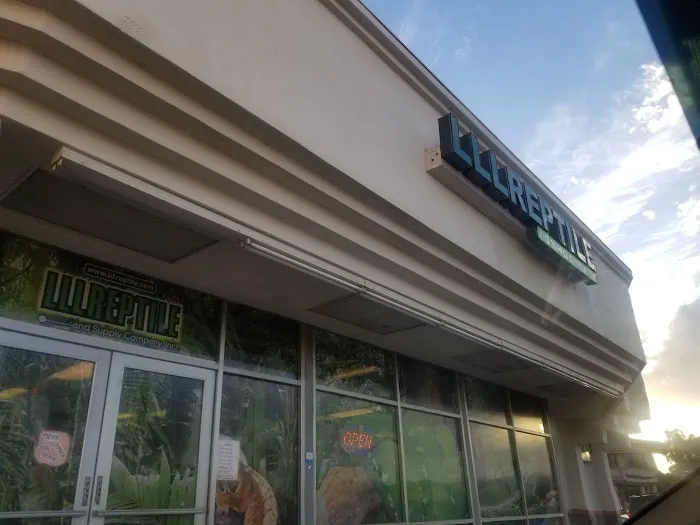 LLLReptile & Supply Chandler Picture 5