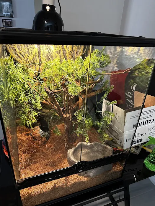 LLLReptile & Supply Chandler Picture 7
