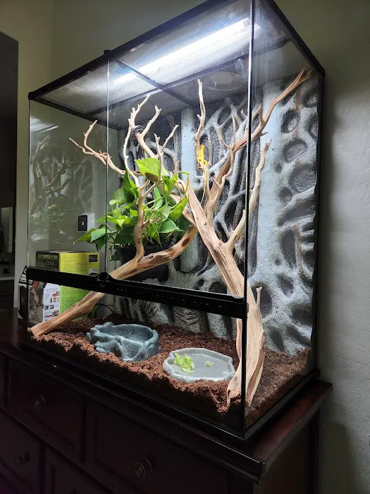 LLLReptile & Supply Chandler Picture 10