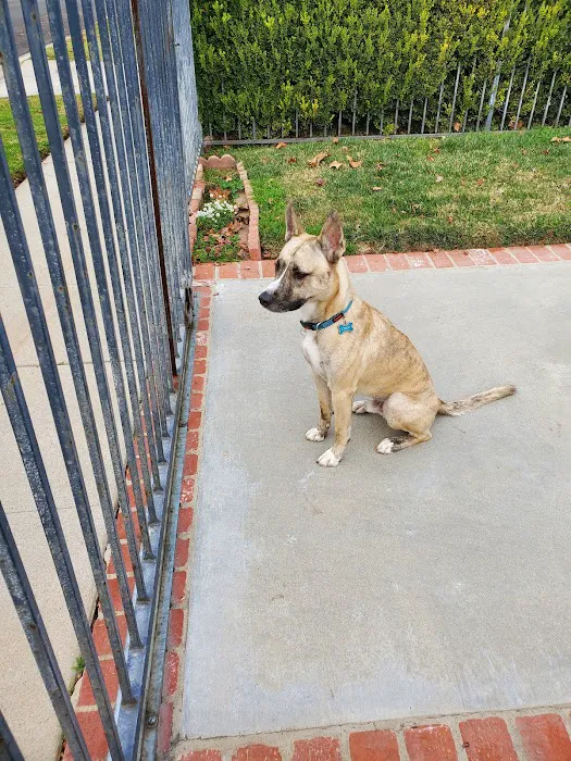 Northridge Animal Medical Center Picture 4