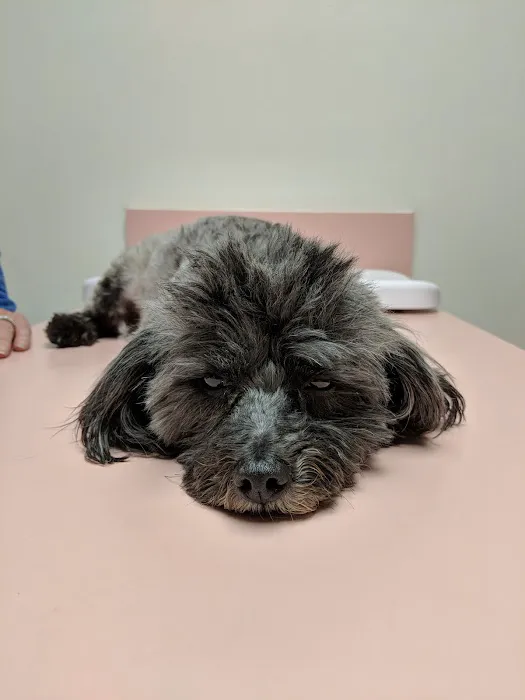 Northridge Animal Medical Center Picture 3