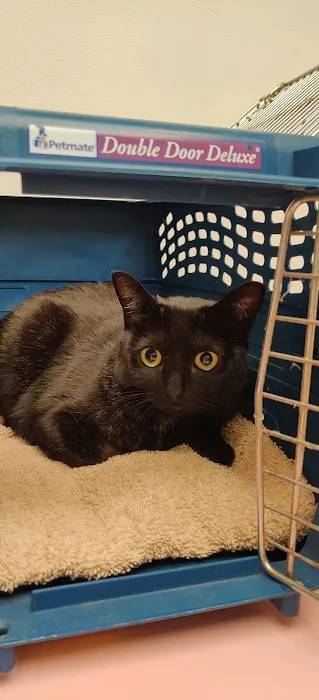 Northridge Animal Medical Center Picture 9