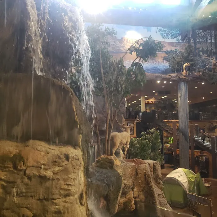 Sea Savvy Aquarium Picture 4