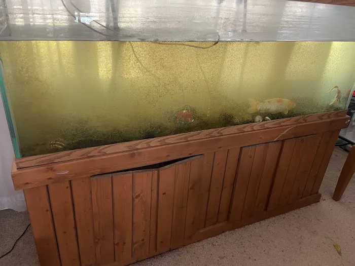 Sea Savvy Aquarium Picture 1