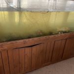 Sea Savvy Aquarium