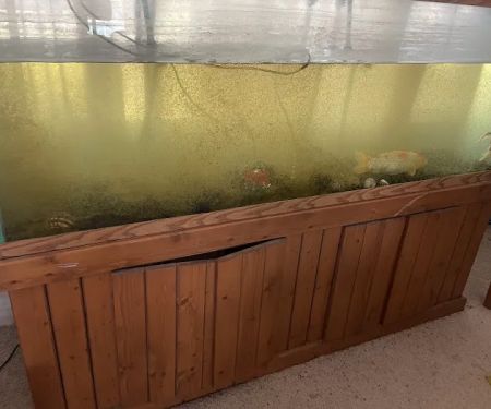Sea Savvy Aquarium