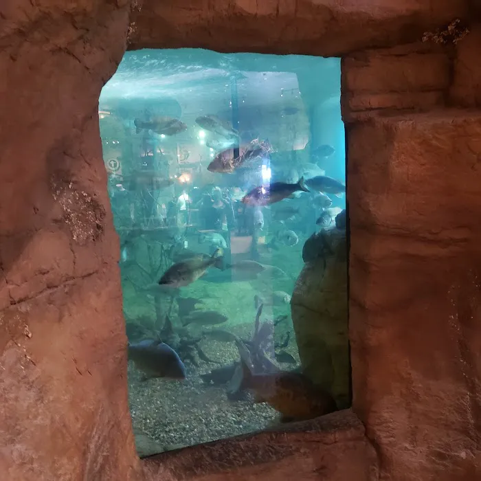 Sea Savvy Aquarium Picture 5