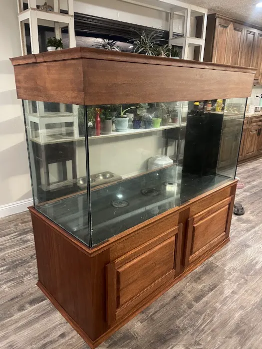 Sea Savvy Aquarium Picture 9