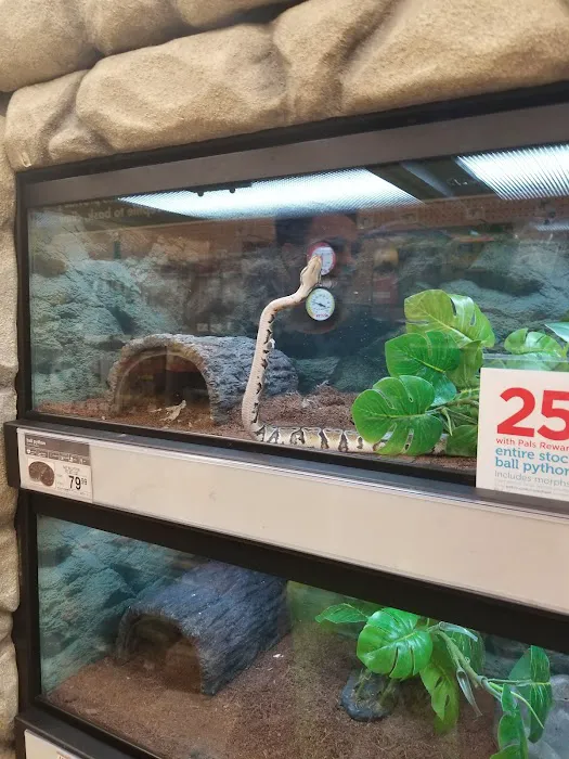 Petco Picture 3