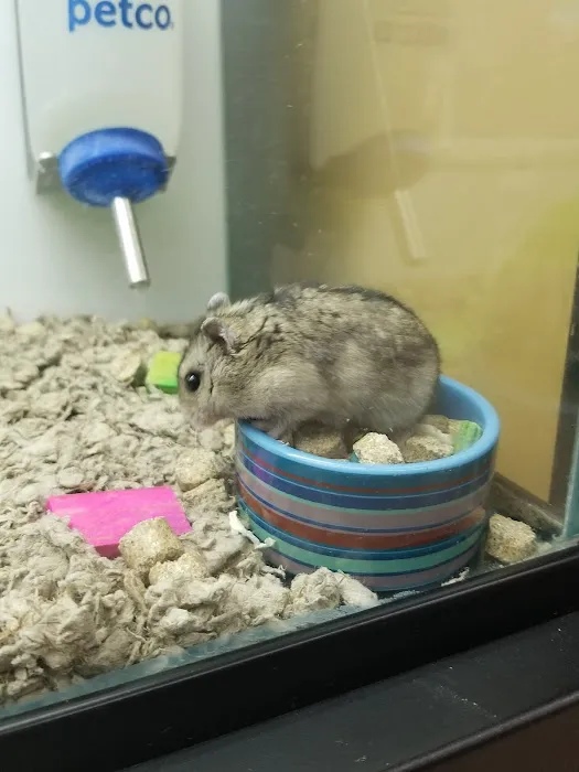 Petco Picture 2