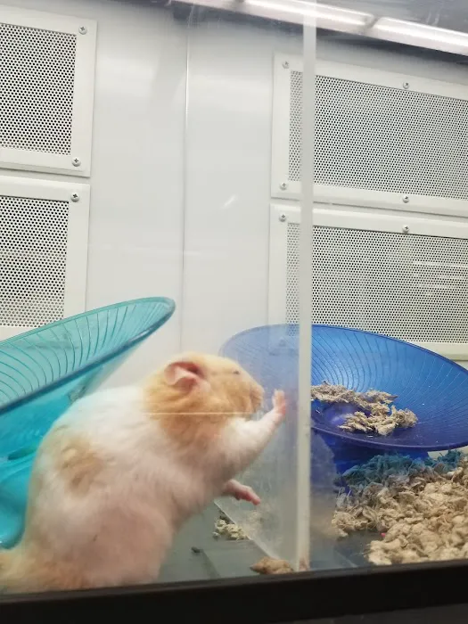 Petco Picture 1