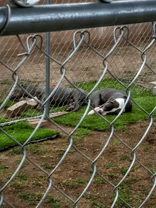 North Valley Veterinary Clinic Picture 1
