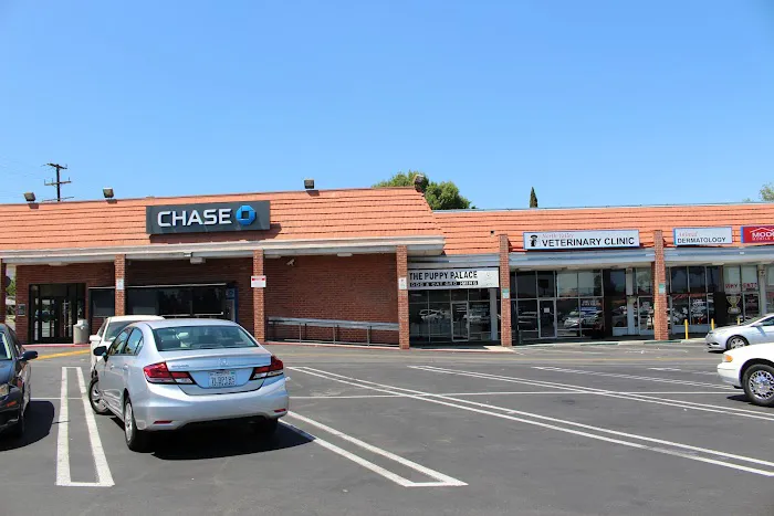 North Valley Veterinary Clinic Picture 9