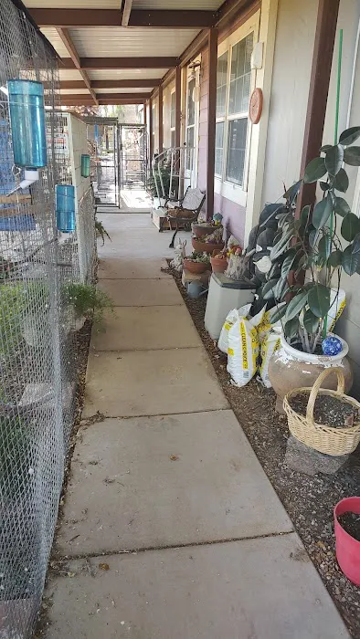 Desert Rose Aviary Picture 8