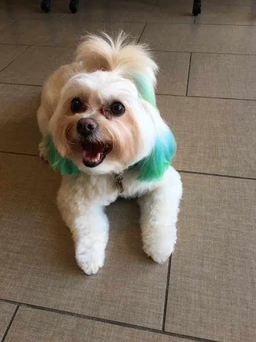 Porter Veterinary Center Picture 4