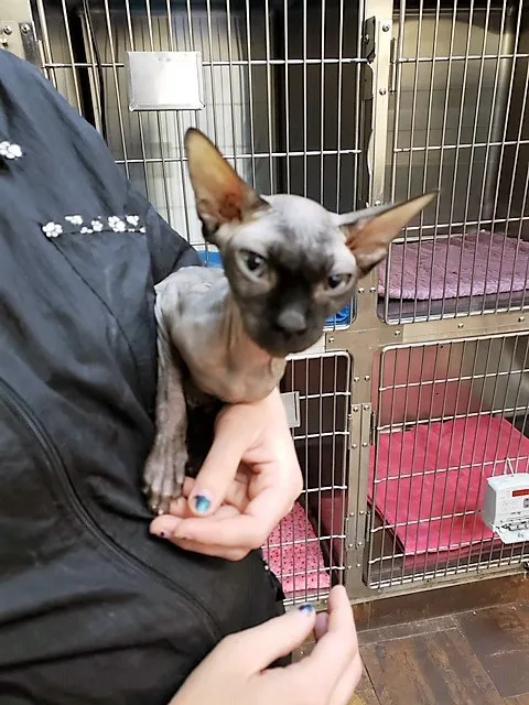Porter Veterinary Center Picture 7