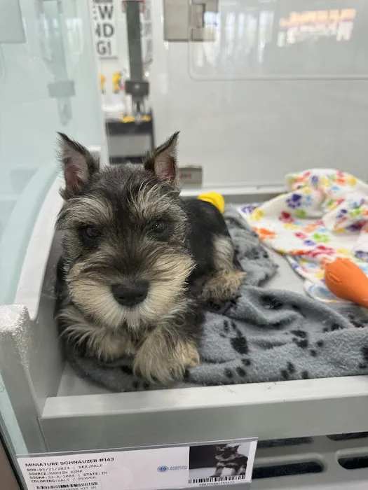 Petland Scottsdale Picture 2