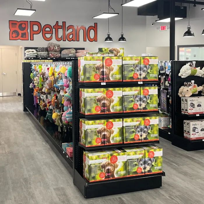Petland Scottsdale Picture 8
