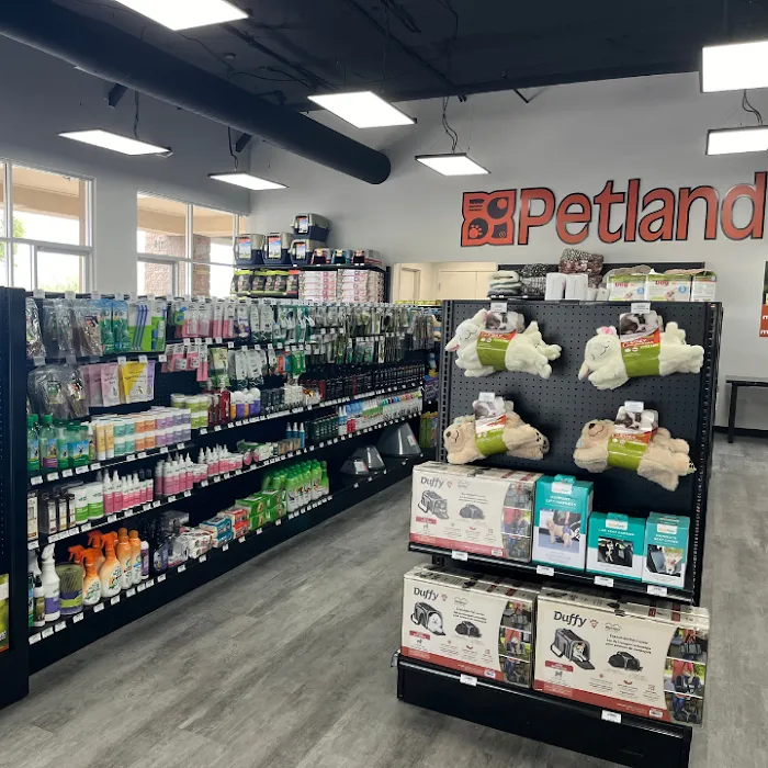Petland Scottsdale Picture 9