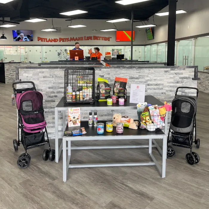 Petland Scottsdale Picture 10