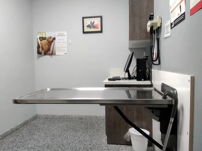 Pet Cure Veterinary Center Picture 4