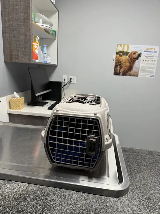 Pet Cure Veterinary Center Picture 6