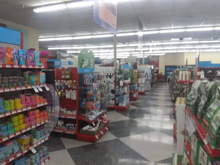 Petco Picture 2