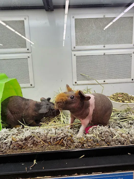 Petco Picture 5