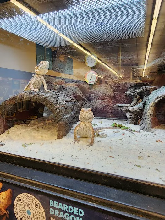 Petco Picture 3