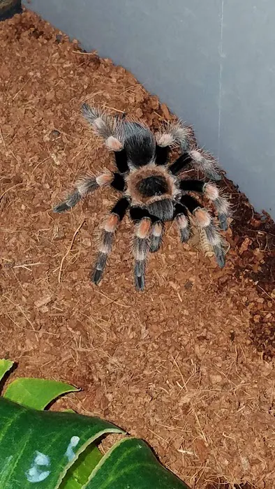 Petco Picture 8
