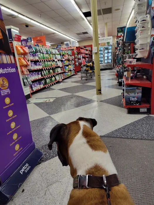 Petco Picture 10