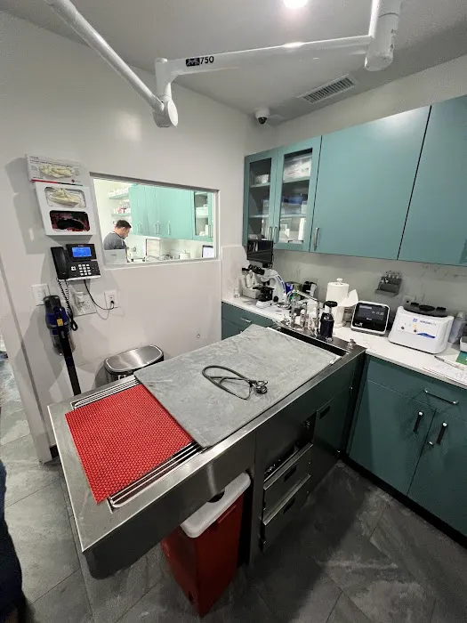 Sevilla Veterinary Hospital Picture 7