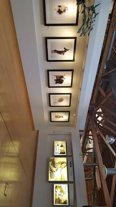 VCA Inc. Picture 1