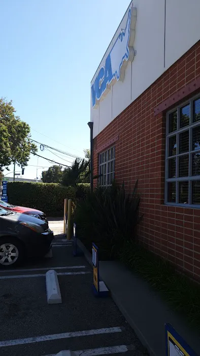 VCA Inc. Picture 4