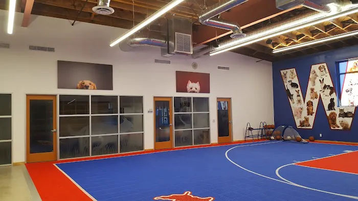 VCA Inc. Picture 2