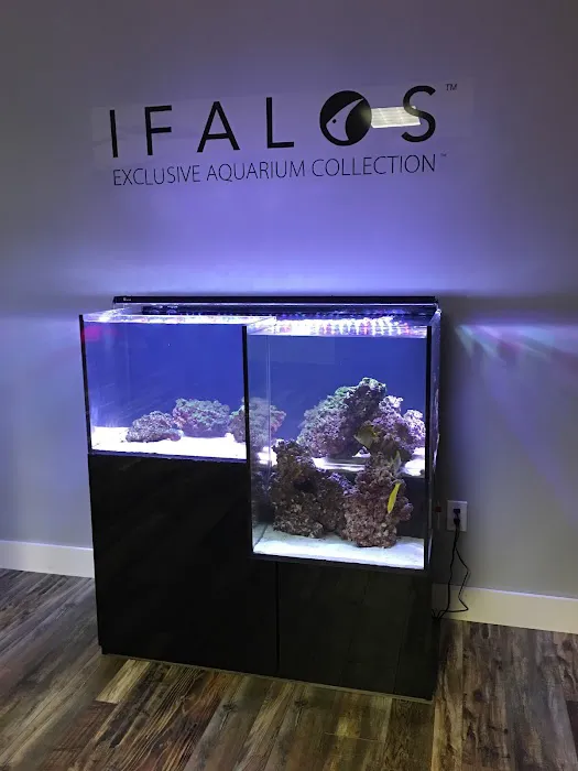 Kona Reef Az - Surprise Picture 1