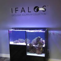 Kona Reef Az - Surprise ico