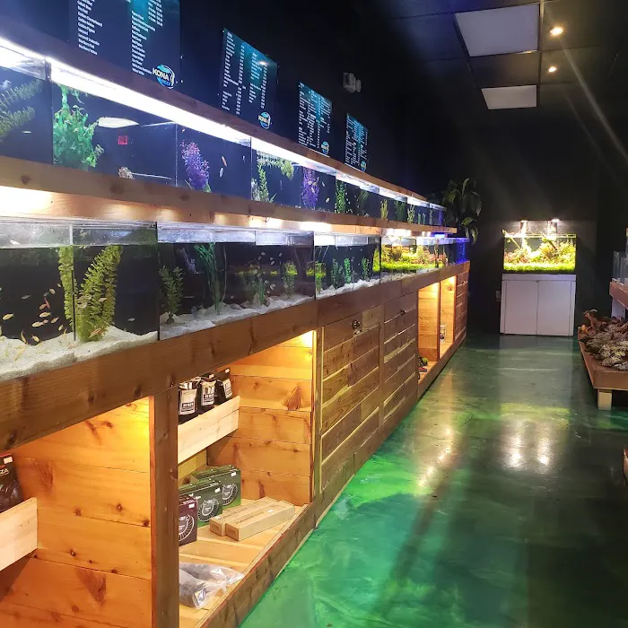Kona Reef Az - Surprise Picture 7